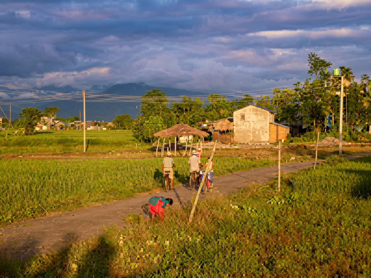 Nepal fields